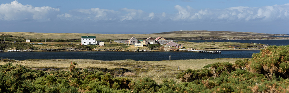 WEDDELL ISLAND, West Falklands settlement